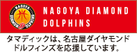 名古屋ダイヤモンドドルフィンズ
